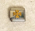 Lucky silver charm