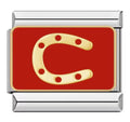 Horse shoe charm