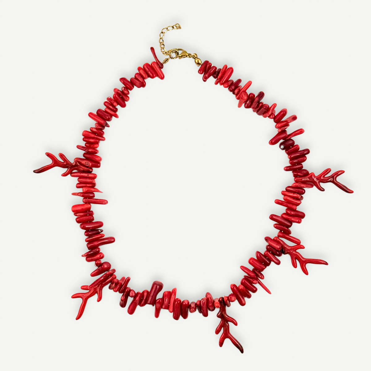 Naseem Coral