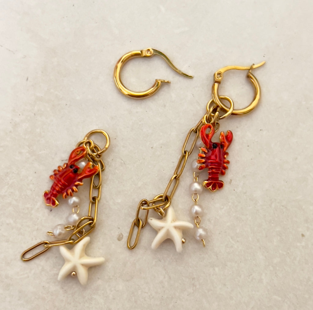 Crab and Star